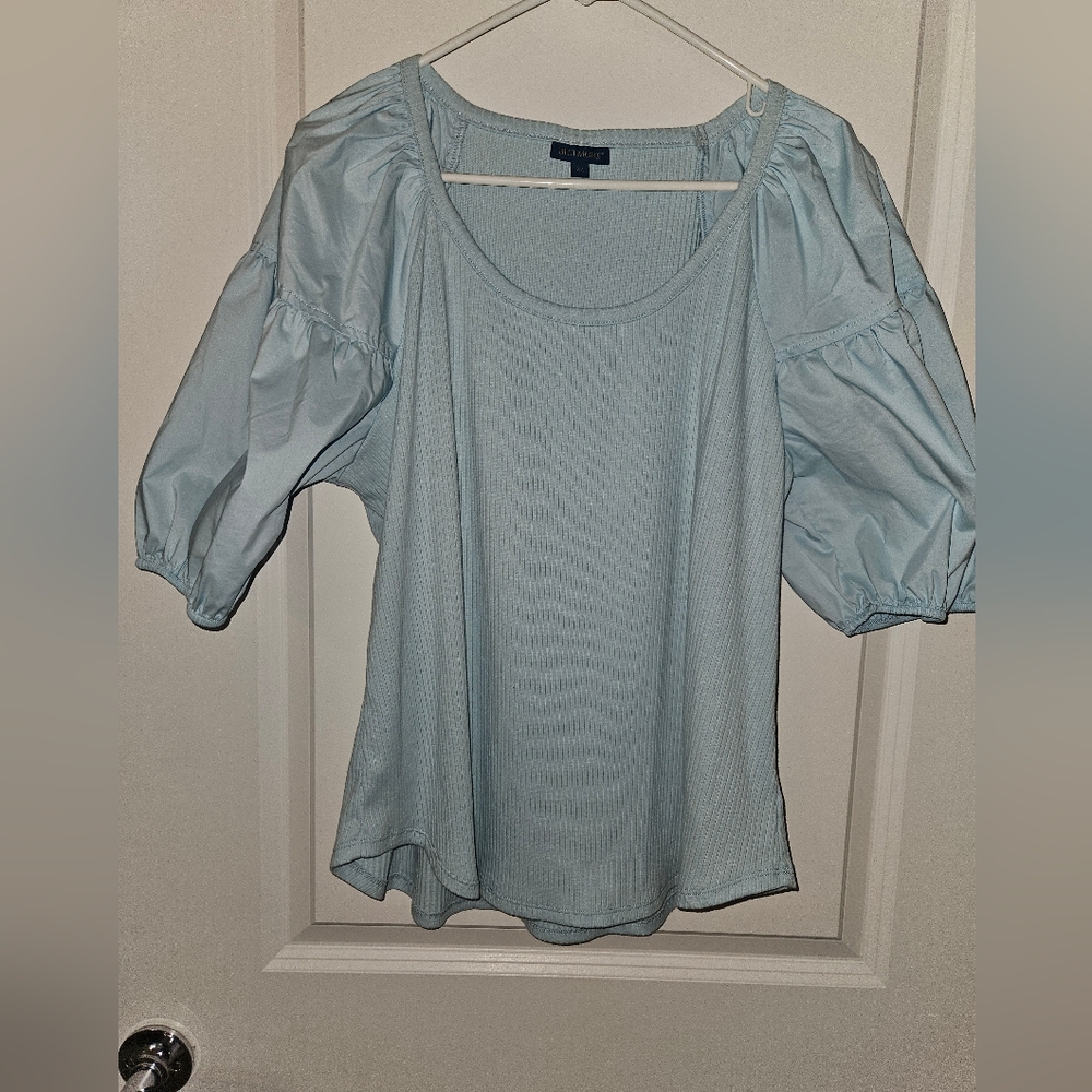 Elegant Sky Blue Puff Sleeve Blouse